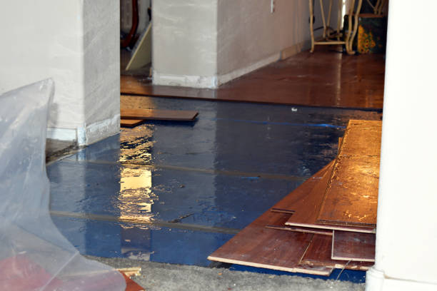 Professional Water Damage Restoration technician working in Gleason, TN